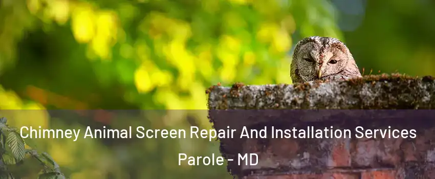  Chimney Animal Screen Repair And Installation Services Parole - MD
