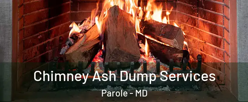 Chimney Ash Dump Services Parole - MD