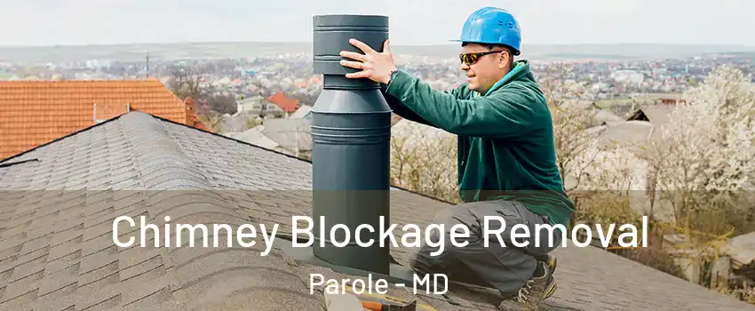  Chimney Blockage Removal Parole - MD