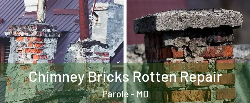  Chimney Bricks Rotten Repair Parole - MD