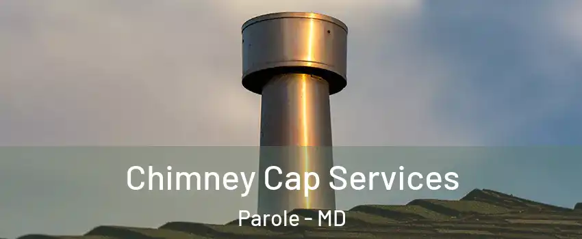  Chimney Cap Services Parole - MD