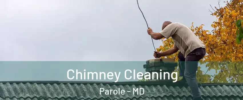  Chimney Cleaning Parole - MD