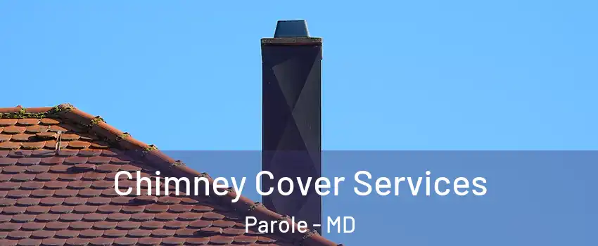  Chimney Cover Services Parole - MD