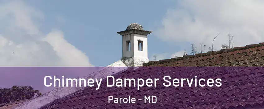 Chimney Damper Services Parole - MD