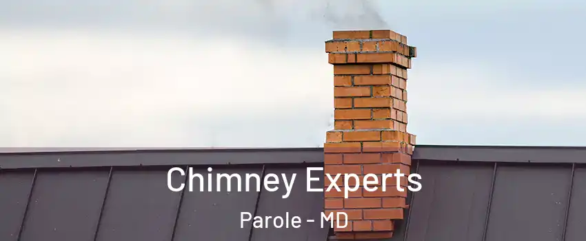  Chimney Experts Parole - MD