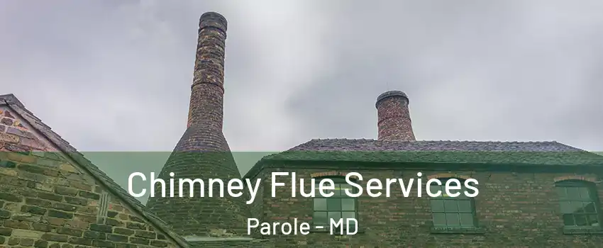  Chimney Flue Services Parole - MD