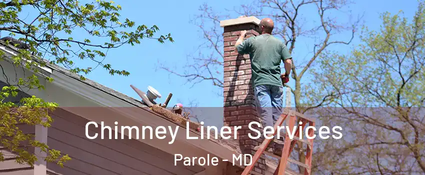  Chimney Liner Services Parole - MD