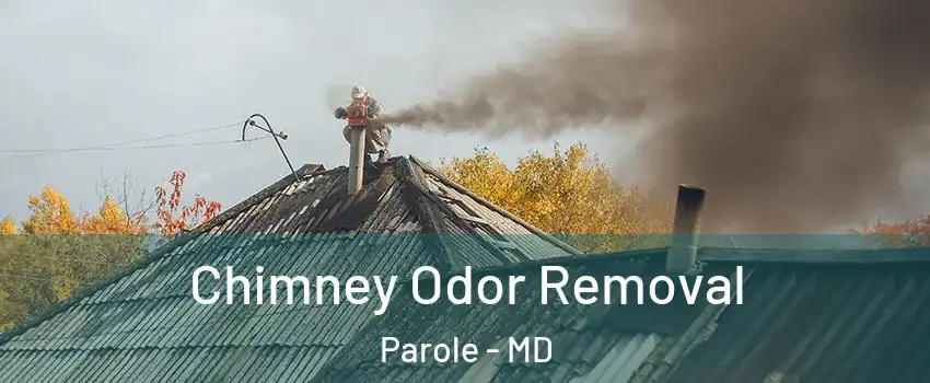  Chimney Odor Removal Parole - MD