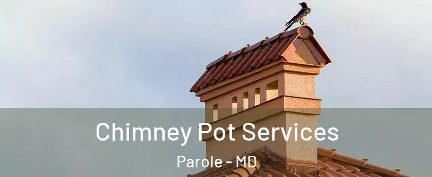  Chimney Pot Services Parole - MD