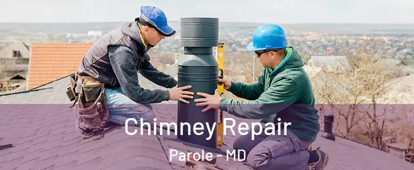  Chimney Repair Parole - MD
