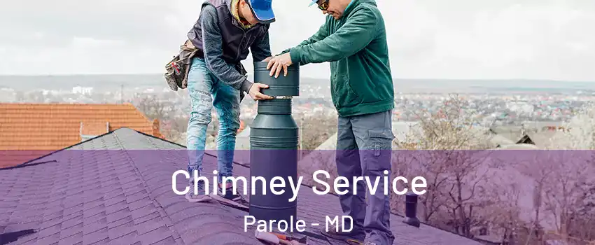  Chimney Service Parole - MD