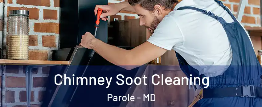  Chimney Soot Cleaning Parole - MD