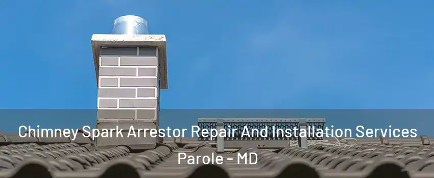 Chimney Spark Arrestor Repair And Installation Services Parole - MD
