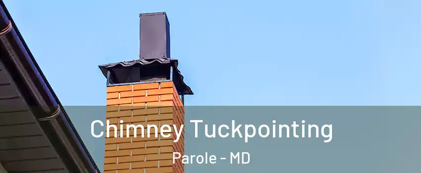Chimney Tuckpointing Parole - MD