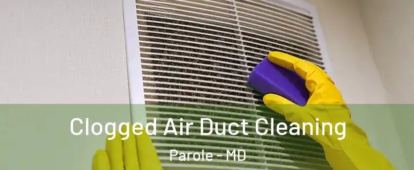  Clogged Air Duct Cleaning Parole - MD