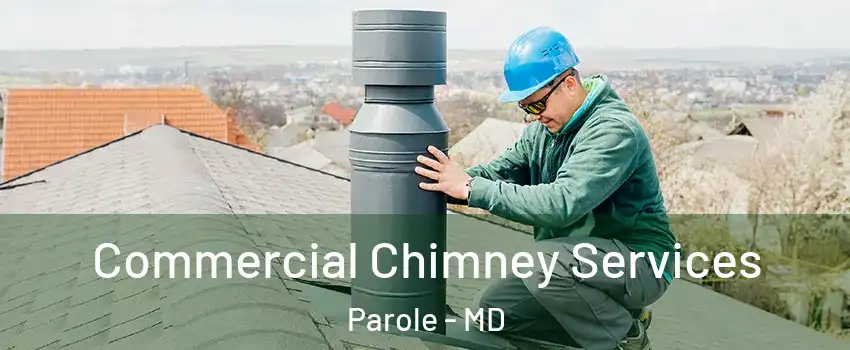  Commercial Chimney Services Parole - MD