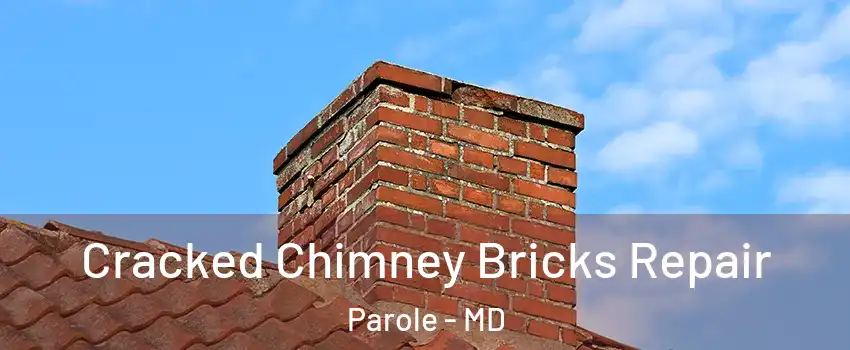  Cracked Chimney Bricks Repair Parole - MD