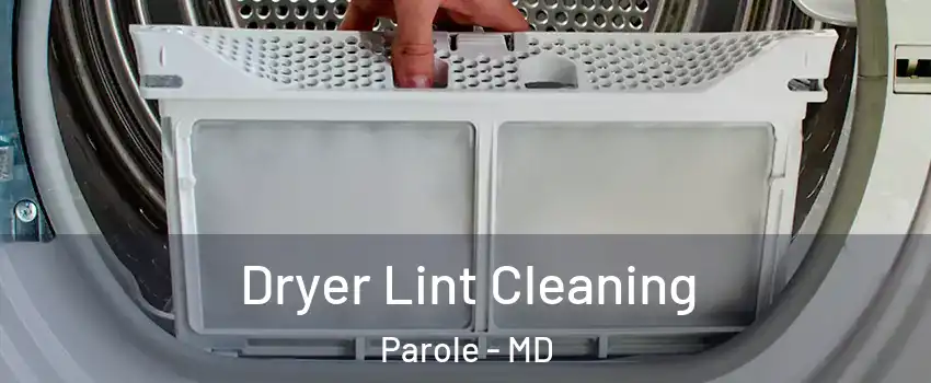  Dryer Lint Cleaning Parole - MD