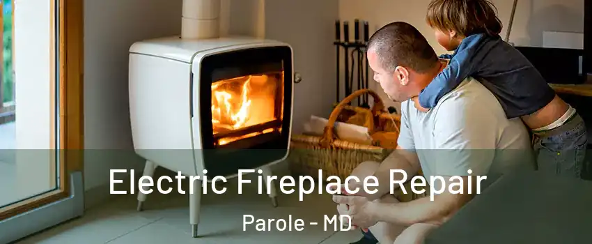  Electric Fireplace Repair Parole - MD