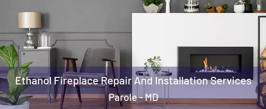  Ethanol Fireplace Repair And Installation Services Parole - MD