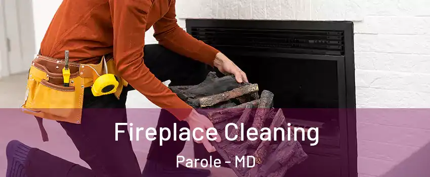  Fireplace Cleaning Parole - MD