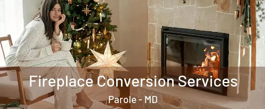  Fireplace Conversion Services Parole - MD