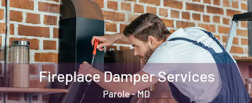  Fireplace Damper Services Parole - MD