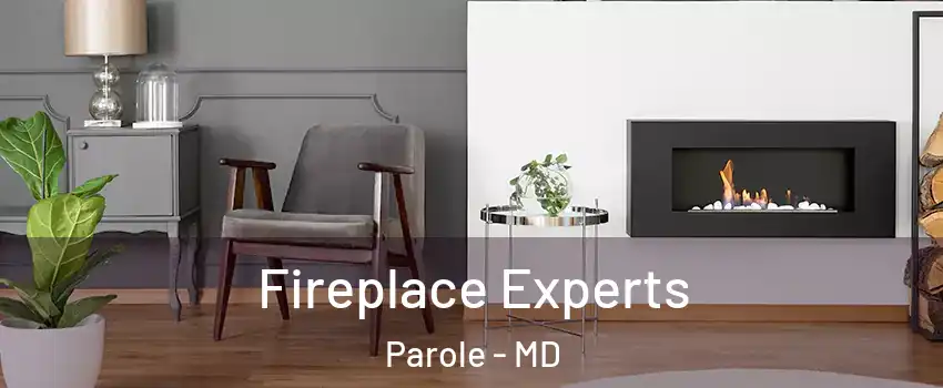  Fireplace Experts Parole - MD