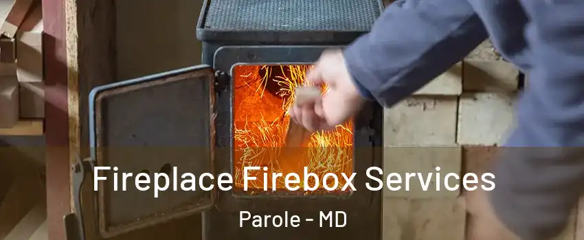  Fireplace Firebox Services Parole - MD