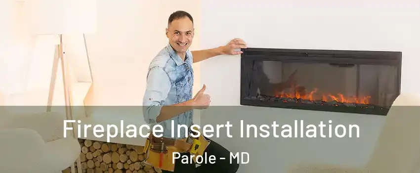  Fireplace Insert Installation Parole - MD
