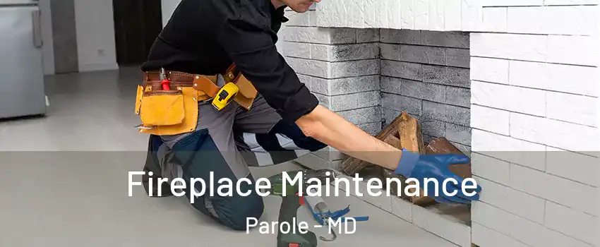  Fireplace Maintenance Parole - MD