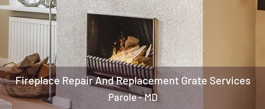 Fireplace Repair And Replacement Grate Services Parole - MD