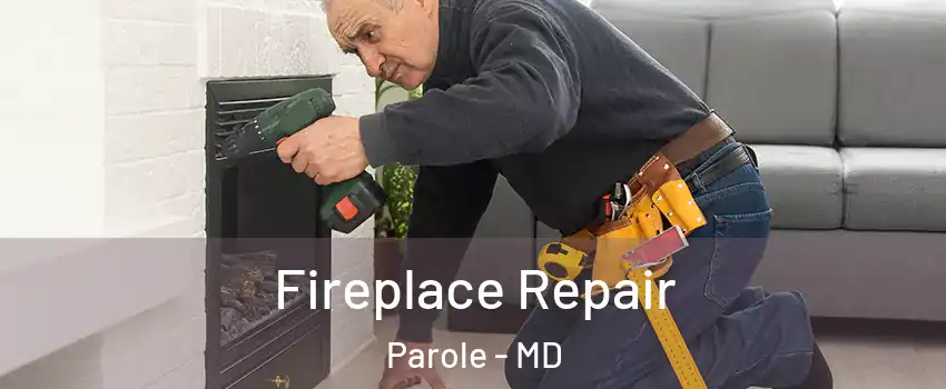  Fireplace Repair Parole - MD