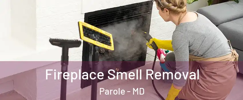  Fireplace Smell Removal Parole - MD
