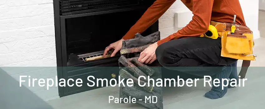 Fireplace Smoke Chamber Repair Parole - MD