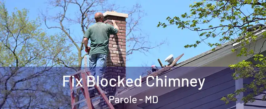  Fix Blocked Chimney Parole - MD