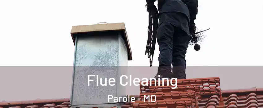  Flue Cleaning Parole - MD