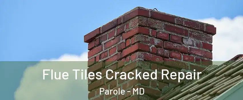  Flue Tiles Cracked Repair Parole - MD