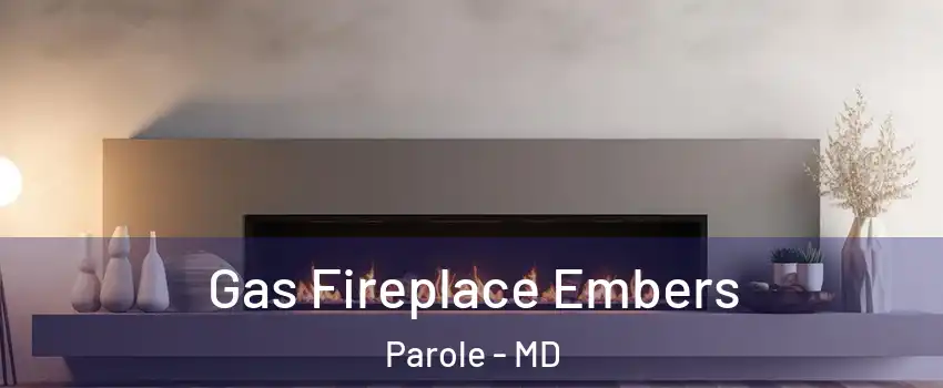  Gas Fireplace Embers Parole - MD