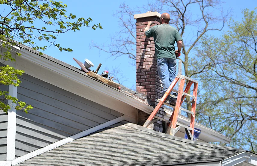 Chimney & Fireplace Inspections Services in Parole, MD