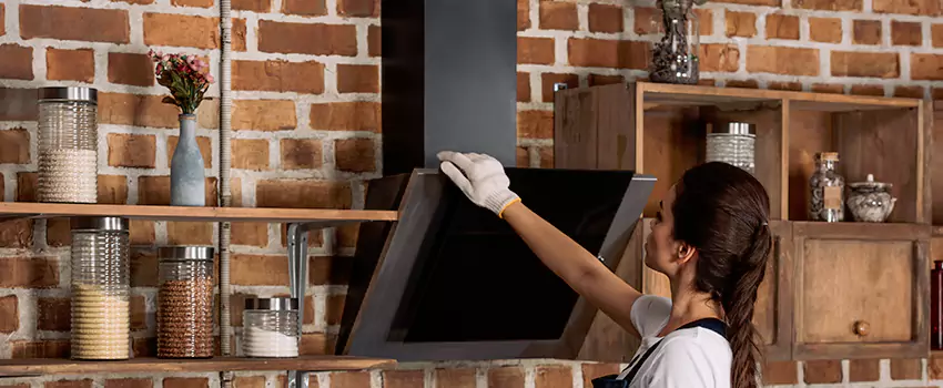 Chimney Installation in Parole, MD