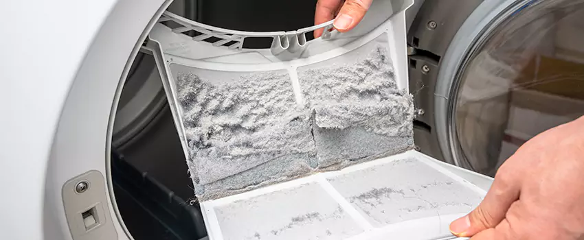 Best Dryer Lint Removal Company in Parole, Maryland