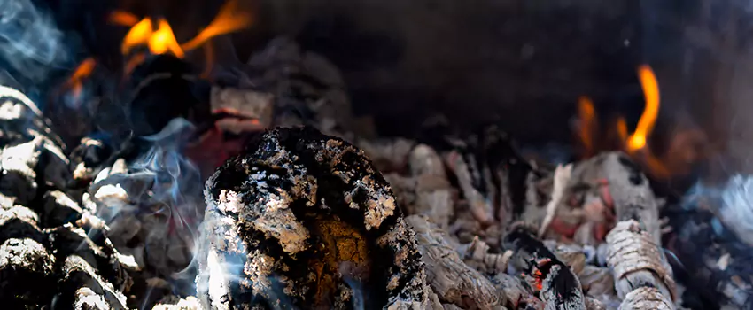 Creosote Removal Experts in Parole, MD