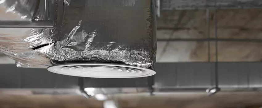 Signs of Dust Accumulation in Vents in Parole, MD