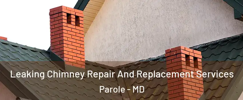  Leaking Chimney Repair And Replacement Services Parole - MD