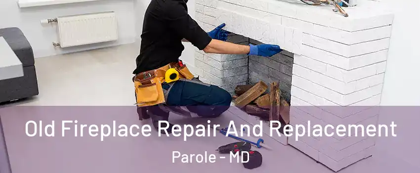 Old Fireplace Repair And Replacement Parole - MD