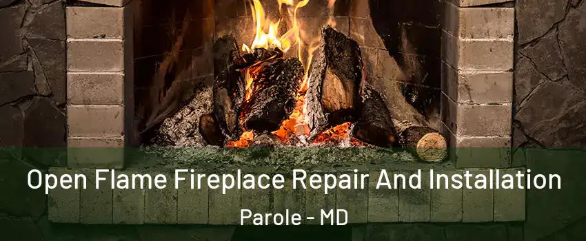  Open Flame Fireplace Repair And Installation Parole - MD