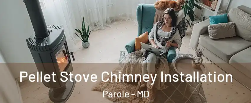  Pellet Stove Chimney Installation Parole - MD
