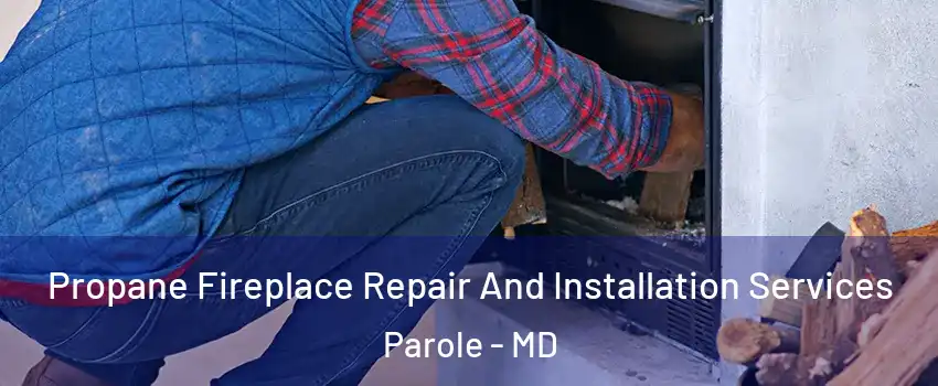  Propane Fireplace Repair And Installation Services Parole - MD