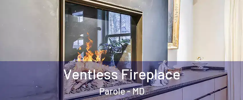  Ventless Fireplace Parole - MD